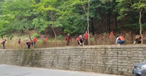 용운동 통장협의회, 쾌적한 용운동 만들기 환경정비 활동