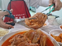 세종시 오봉산 맨발 등산길로 맛집‧관광 트레킹 어때?