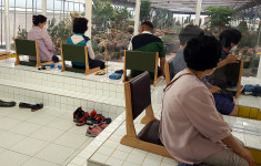 충남도, 재미와 치유 모두 잡는 농촌체험농장 추천
