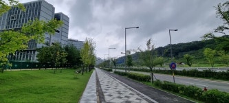 석자 세치 규모 금괴가 묻혀 있다고? 세종시 괴화산 사연은