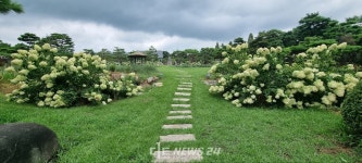 금강식후경 야(夜)! 밤에 놀자 벌써부터 입소문... 나도 가볼까