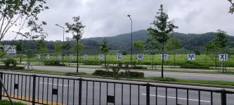 법무부‧여가부 세종시 이전 기류... '법원·검찰청' 설치 견인하나