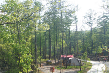 숲속야영장 조성할 때 실질 면적만 환경영향평가 받으면 되요