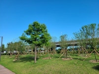 2023년 무궁화동산 사업 대상지 18곳 선정