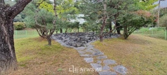 진짜 왕의 물은? 세종대왕의 눈병을 치료한 전의초수