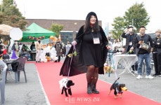 국내 첫 반려견 할로윈 파티... 보령서 이틀 간 열전 마무리