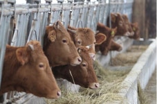 논산시, 가축분뇨 재활용신고자 대기배출시설 설치 신고 당부