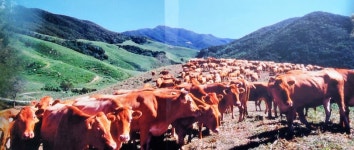 서산한우목장, 서산의 알프스로 개발