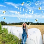 꿀벌 양봉으로 인생 2막... 20대 청년 김정수의 인턴 도전기