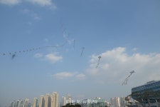 세종시 금강 보행교... 연날리기 대회 명소 가능성 확인