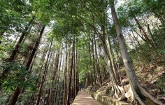 산림청, 국토녹화 50주년 기념 걷기 좋은 명품숲길 30선 선정