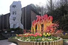 대전 뿌리공원에서 전하는 봄꽃 소식