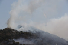 충남 홍성에 산불, 소방당국 산불 3단계 총력 대응