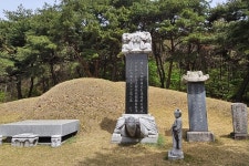 명당 중의 명당 세종시 장군면의 이야기를 주목하자