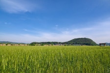 KBS 1박2일이 주목한 부여군... 고란약수터·사랑나무 각광