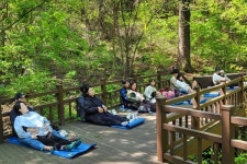 산림치유원, 임신부부 대상 숲태교 프로그램 운영 -