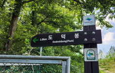 계룡산과 세종~유성 누리길에 묻힌 대전둘레산길 8~9구간