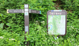 대전둘레산길11구간 완주 후 느낀 기발하고 발칙한 상상