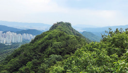 대전둘레산길11구간 완주 후 느낀 기발하고 발칙한 상상