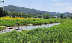 대전둘레산길11구간 완주 후 느낀 기발하고 발칙한 상상