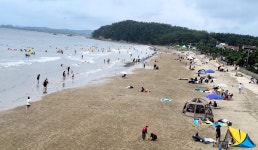 서천 춘장대해수욕장 7월 8일 개장