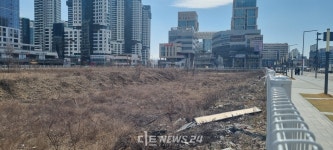 세종시 중심상업 1번지 나성동...동네 일꾼 김효숙의 1년은