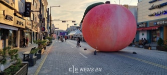 '대전 0시 축제' 차 없는 거리...조치원 '복숭아 축제' 자극제 예고
