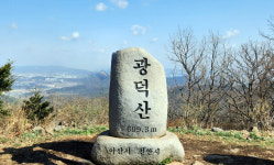 천안 광덕산에 가면 호두나무 조상이 있다?