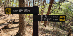 천안 광덕산에 가면 호두나무 조상이 있다?