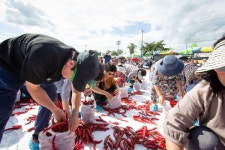 청양고추·구기자축제 문화축제 격상, 명칭도 변경