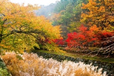 【특집】천고마비 가을감성 보령에서 힐링을