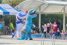 아산시, 아트밸리 아산 제1회 장애인 한바탕 물놀이 축제 성료