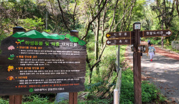 대전둘레산길1구간, 위대한 여정의 시작 보만식계 출발