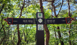 대전둘레산길2구간에서 만난 고라니와 영지버섯, 부러진 안전기둥