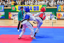제104회 전국체전 합기도경기 성료..충남도 우승