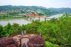'산림연구소+금강휴양림' 이전 딜레마...세종시·충남도 모두 난제