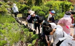 당진시 정미초, 다우리남매 환경동아리 생태활동