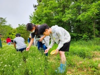 예산군 예덕초, 초록순환 프로젝트로 지속가능 인재육성