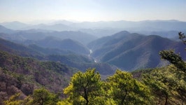 충남에서 3번째로 높은 진악산, 금산의 수호신