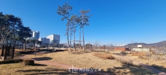 세종시립어린이도서관 사업 중지...2025년 이후로 무기한 연기