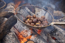 [르포] 공주시 군밤축제 알밤 박람회로 확장...대망의 팡파르