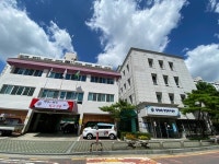 대전 서구 월평2동, 건강상담 창구 운영