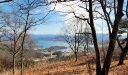 3·1절에 오른 대전둘레산길5~6구간 26km 완주 뿌듯