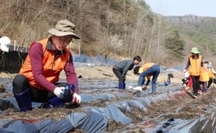 산내동 복지만두레, 행복농장서  감자 심기 행사 개최