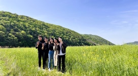 보령시 유채꽃, 청보리 밭 활찐 하늘과 땅의 경계까지