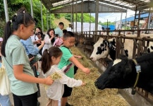 선문대, 아산 신창초 다문화 학생들과 목장 체험 진행
