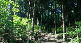 보령 성주산자연휴양림 20일부터 물놀이장 운영