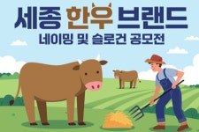 세종시 한우 브랜드, 어떤 이름이 좋을까요?