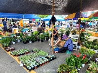 백종원 축제 명성에 갈 곳 잃은 예산오일장···대목 특수도 없다