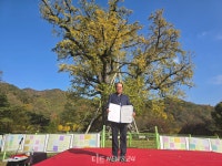 면천면 성상2리 김영성 이장, 면천은행나무 할아버지 됐다